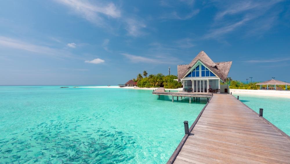 Dhigufaru Island Resort превью 7