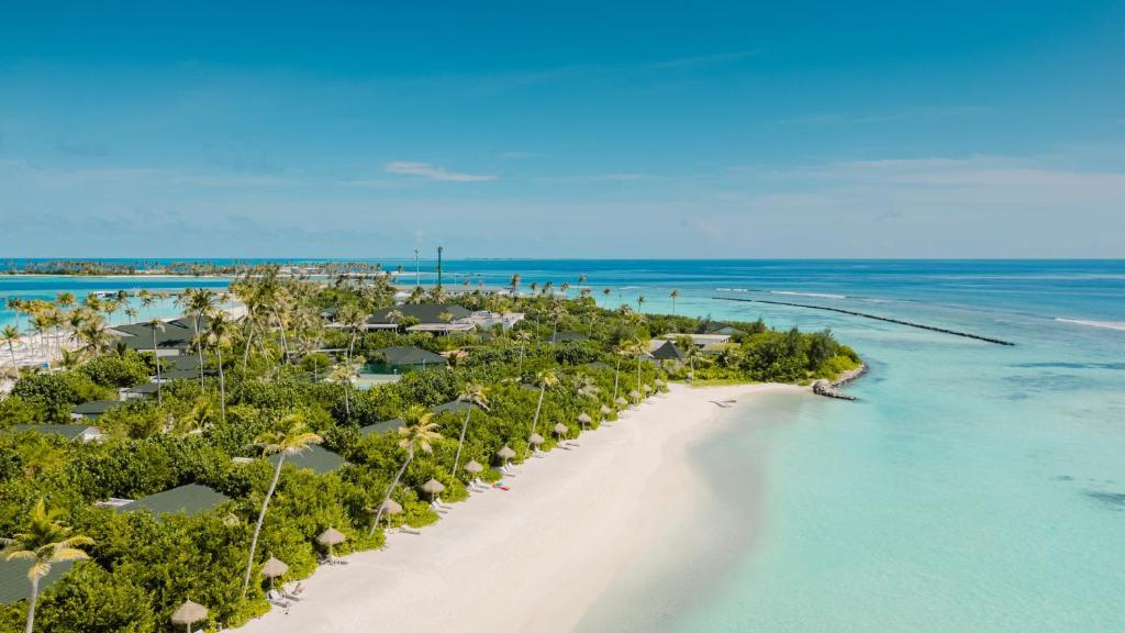 Joy Island Maldives превью 4