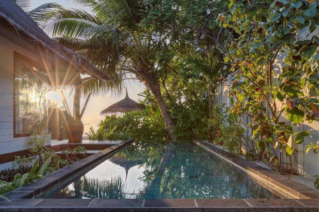 OZEN Life Maadhoo превью 5
