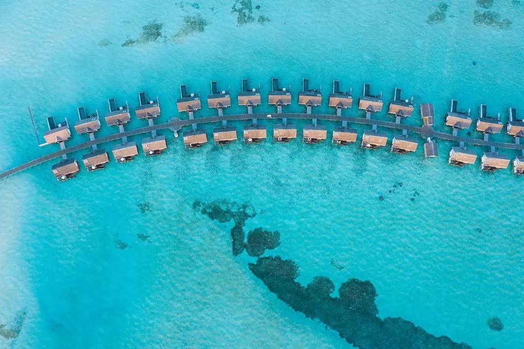 OZEN Life Maadhoo превью 10