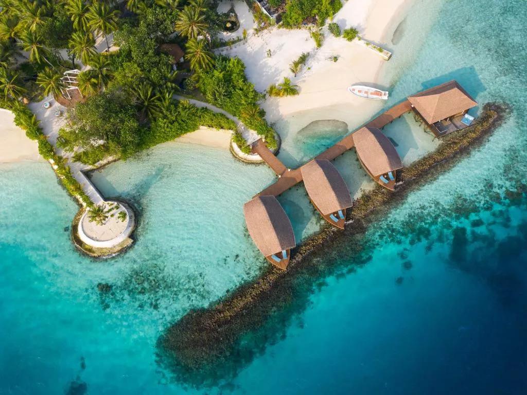 OZEN Reserve Bolifushi превью 3