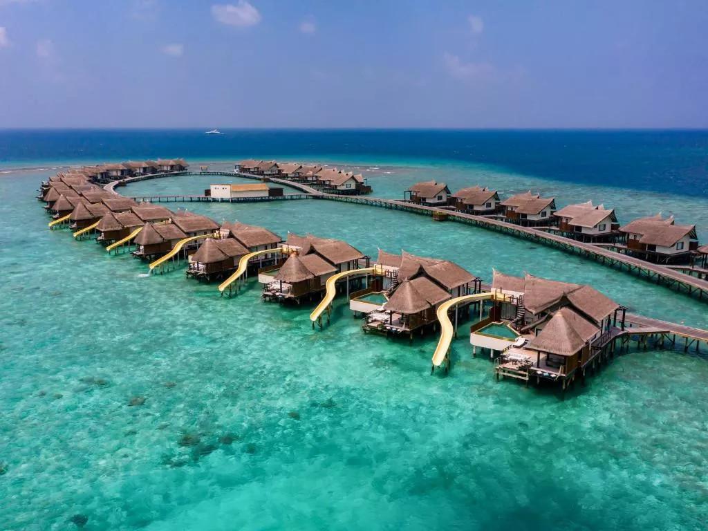 OZEN Reserve Bolifushi превью 4