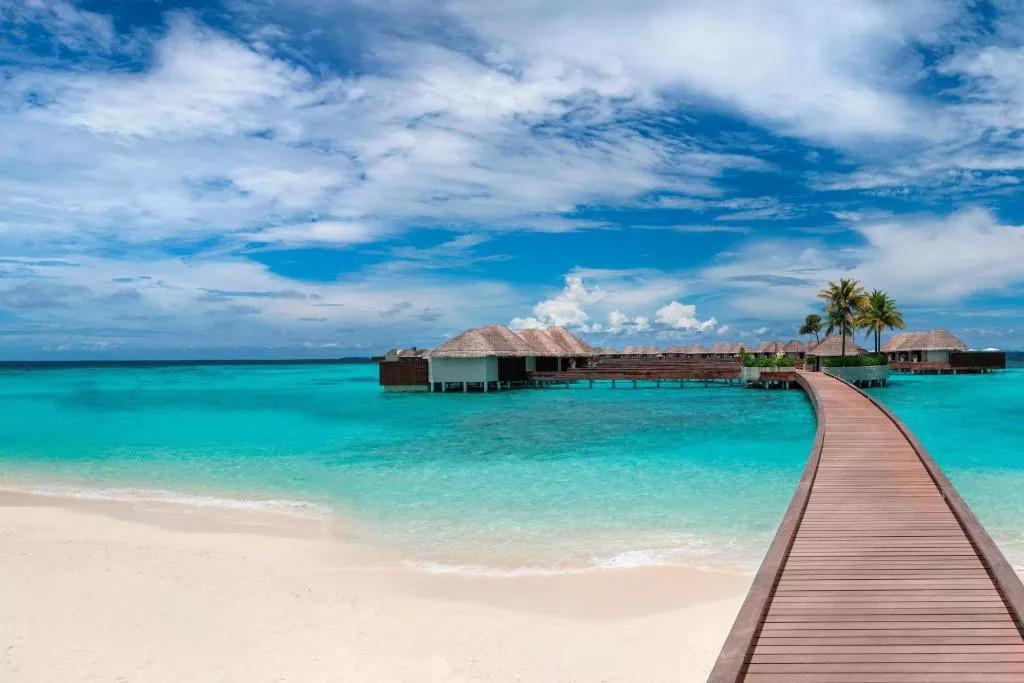 W Maldives превью 12