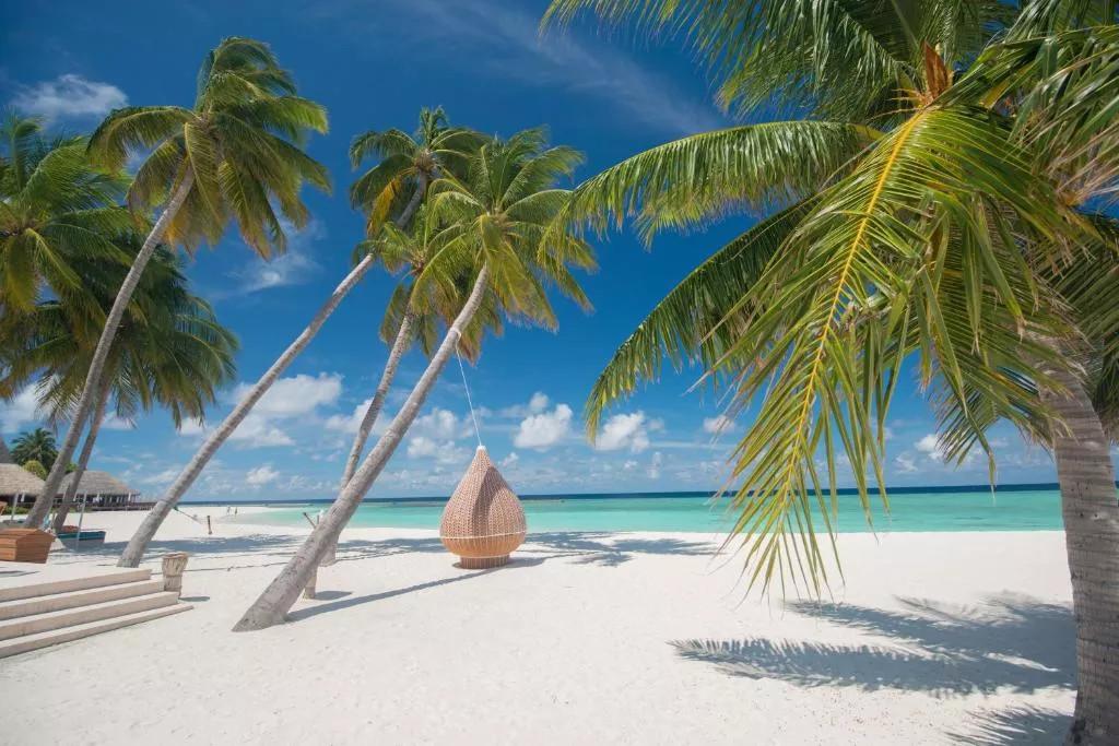 Veligandu Island Resort & Spa превью 9