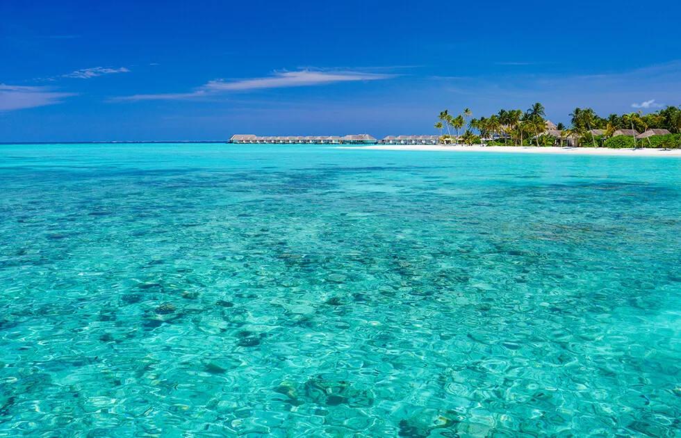 Baglioni Resort Maldives превью 2