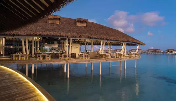 Radisson Blu Resort Maldives превью 19