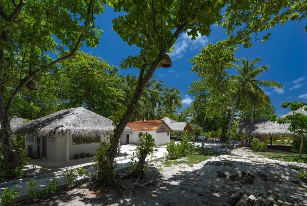 Cora Cora Maldives превью 10
